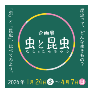 おすすめイベント osusume event 63245