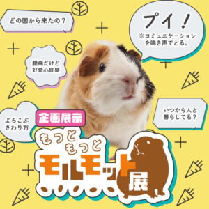 アイキャッチ画像-88811