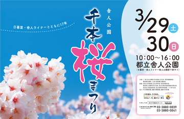 舎人公園 千本桜まつり（2025) | あだち観光ネット