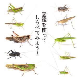 アイキャッチ画像-92265