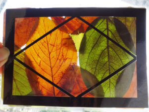 アイキャッチ画像-93851