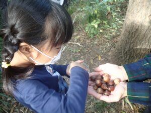 アイキャッチ画像-93854