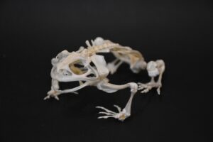 アイキャッチ画像-93765