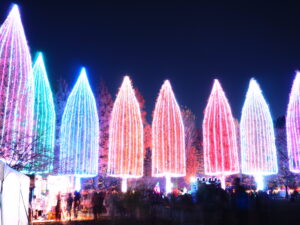 アイキャッチ画像-93764