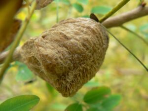 アイキャッチ画像-94521