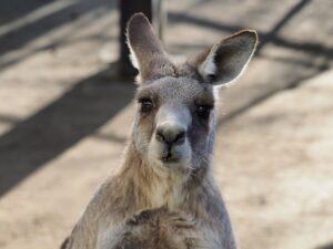 アイキャッチ画像-95298