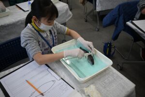 アイキャッチ画像-94930