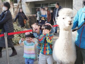 アイキャッチ画像-94889