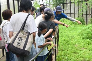 アイキャッチ画像-94945