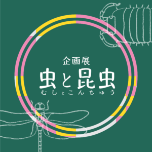 アイキャッチ画像-95088