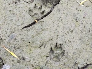 アイキャッチ画像-95225