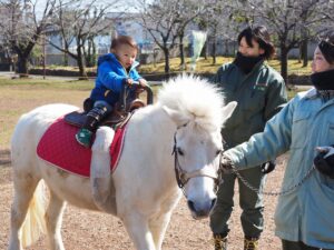 アイキャッチ画像-95082