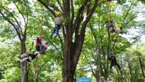 アイキャッチ画像-95306