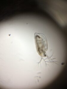 アイキャッチ画像-95496