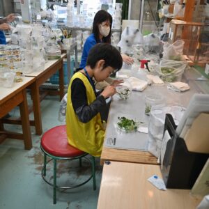 アイキャッチ画像-95287