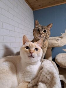 アイキャッチ画像-95290