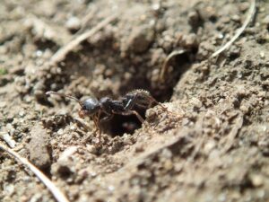 アイキャッチ画像-95498