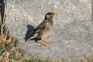 アイキャッチ画像-96183