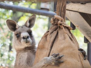 アイキャッチ画像-95803