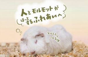 アイキャッチ画像-112374
